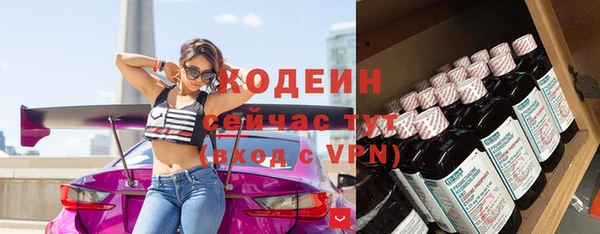 дмт Нягань
