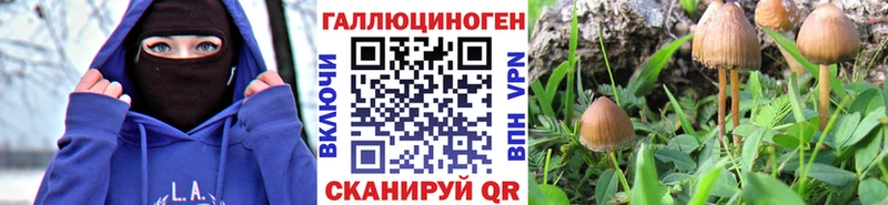 где продают наркотики  даркнет наркотические препараты  Галлюциногенные грибы Psilocybine cubensis  Ядрин 
